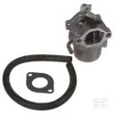 Carburateur briggs & stratton Mc Culloch MC11T94K